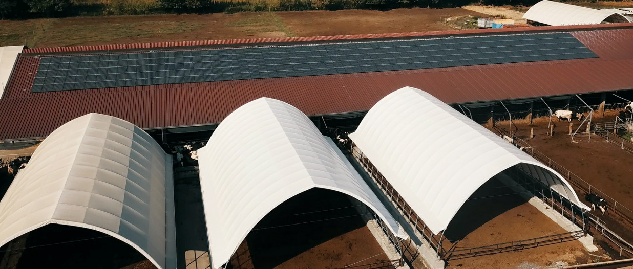 Azienda agricola Cà de Alemanni con pannelli fotovoltaici Panasonic moduli HIT