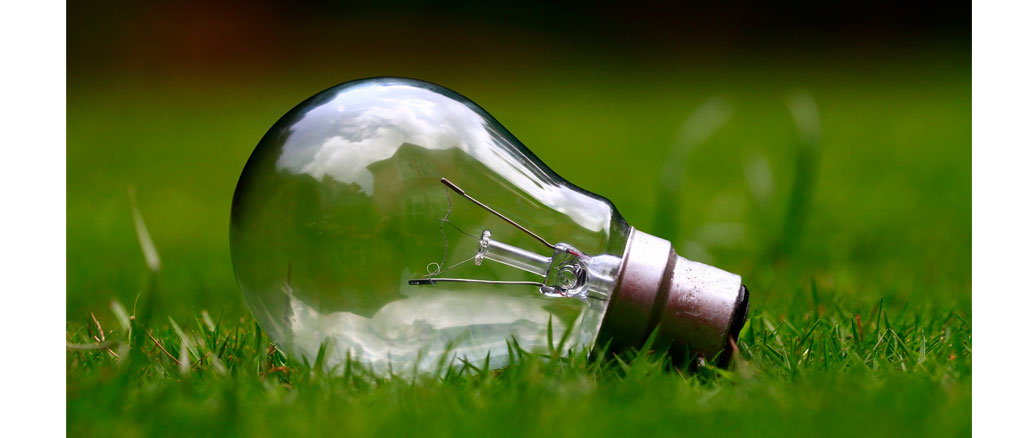 energia verde forza idee startup