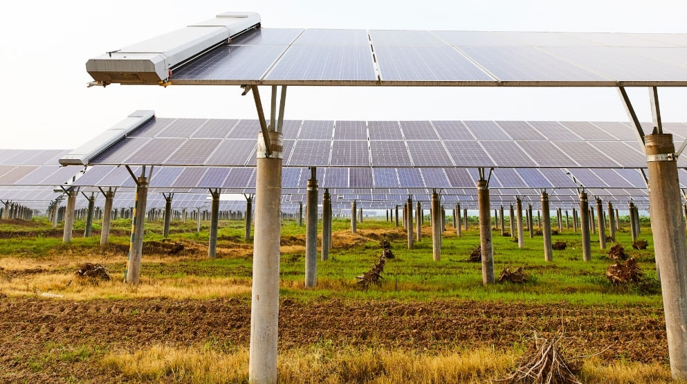 Agrovoltaico: fotovoltaico e agricoltura