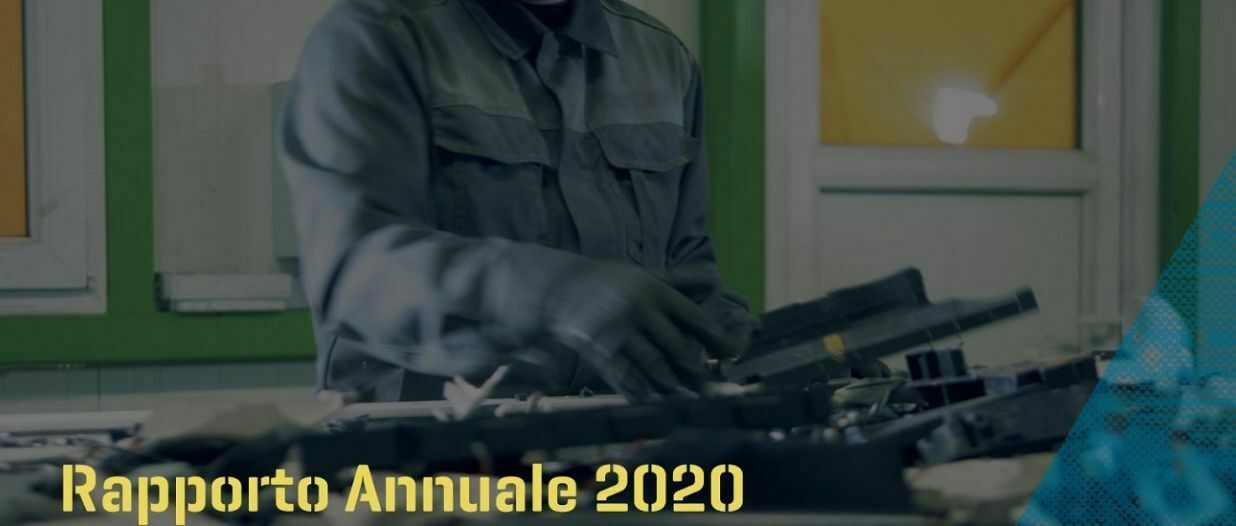 RAEE: Rapporto Annuale 2020
