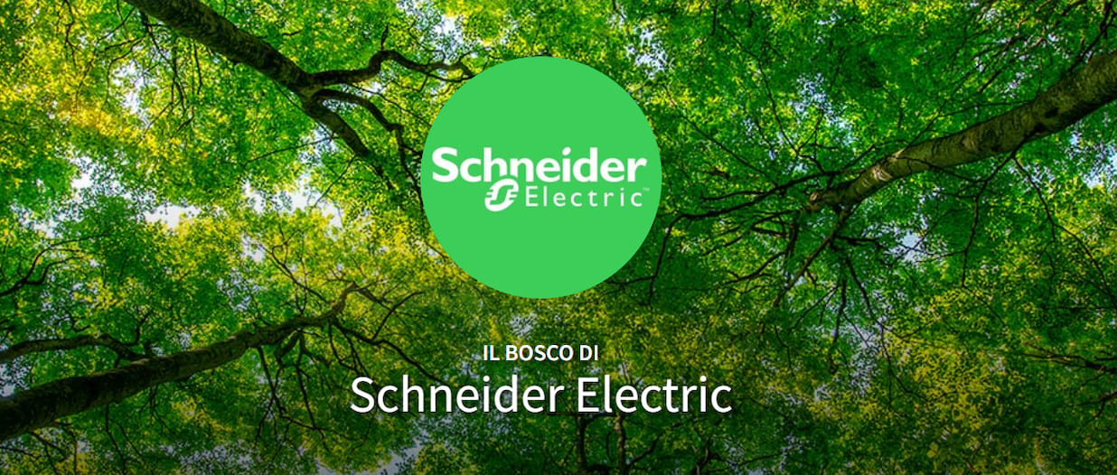 Piantare alberi per compensare le emissioni degli eventi: l'idea green di Schneider Electric