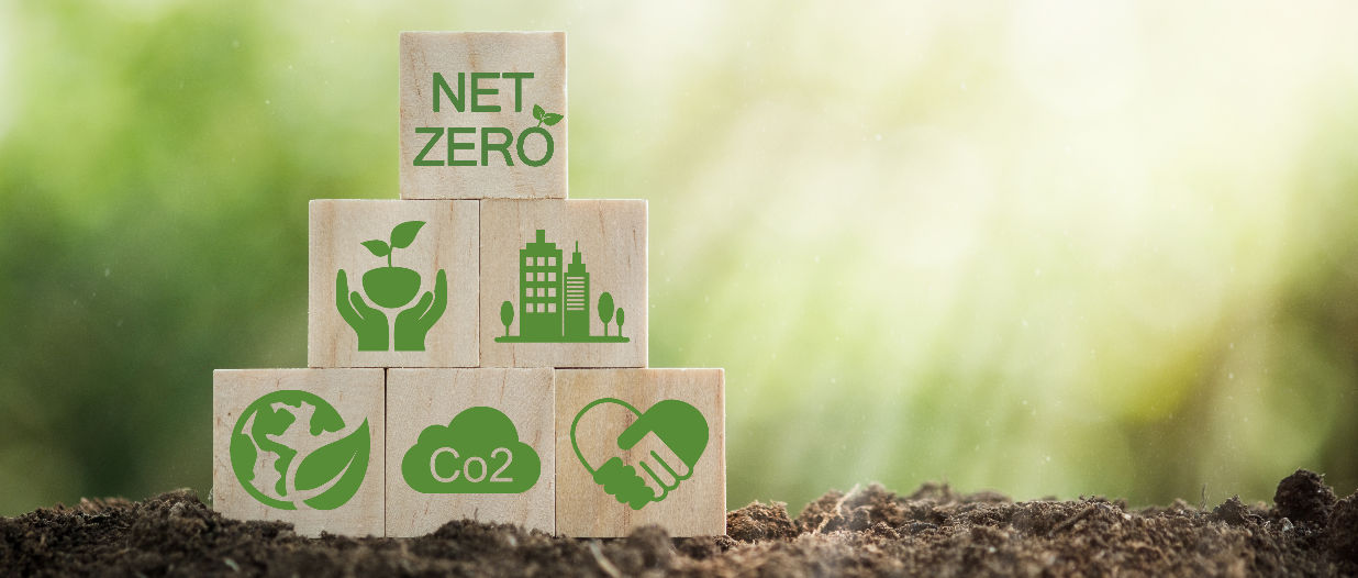 Transizione e decarbonizzazione: lo scenario Net Zero