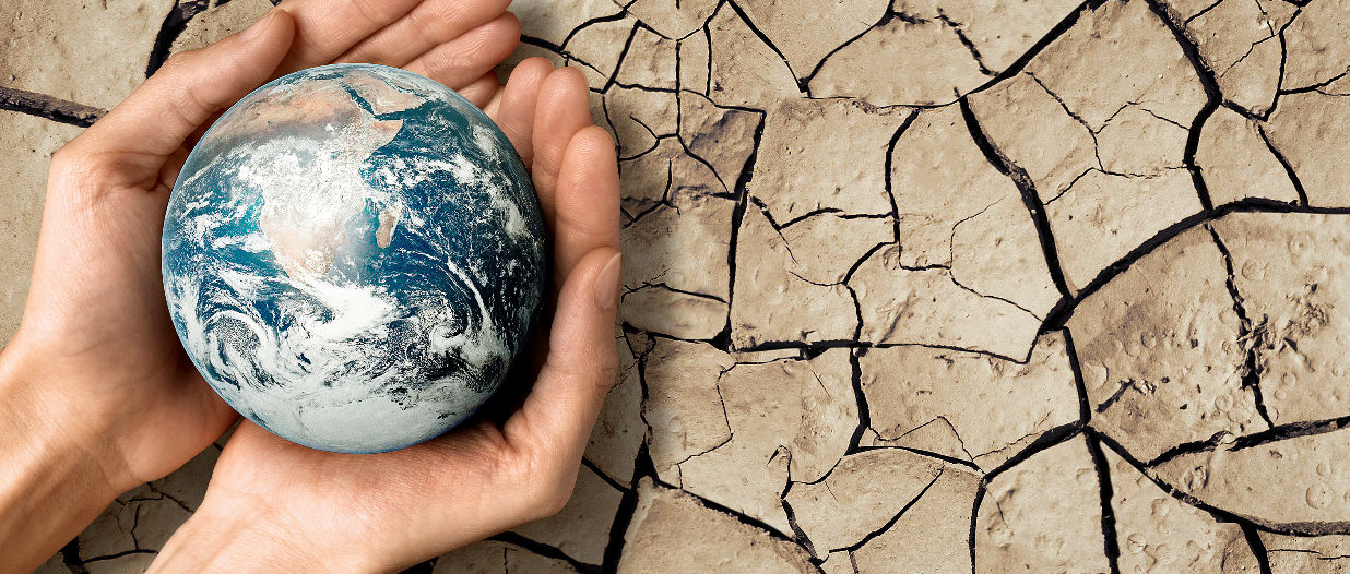come contrastare il cambiamento climatico: consigli COP28