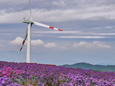Il governo tedesco punta a dividere i costi delle nuove reti per impianti rinnovabili