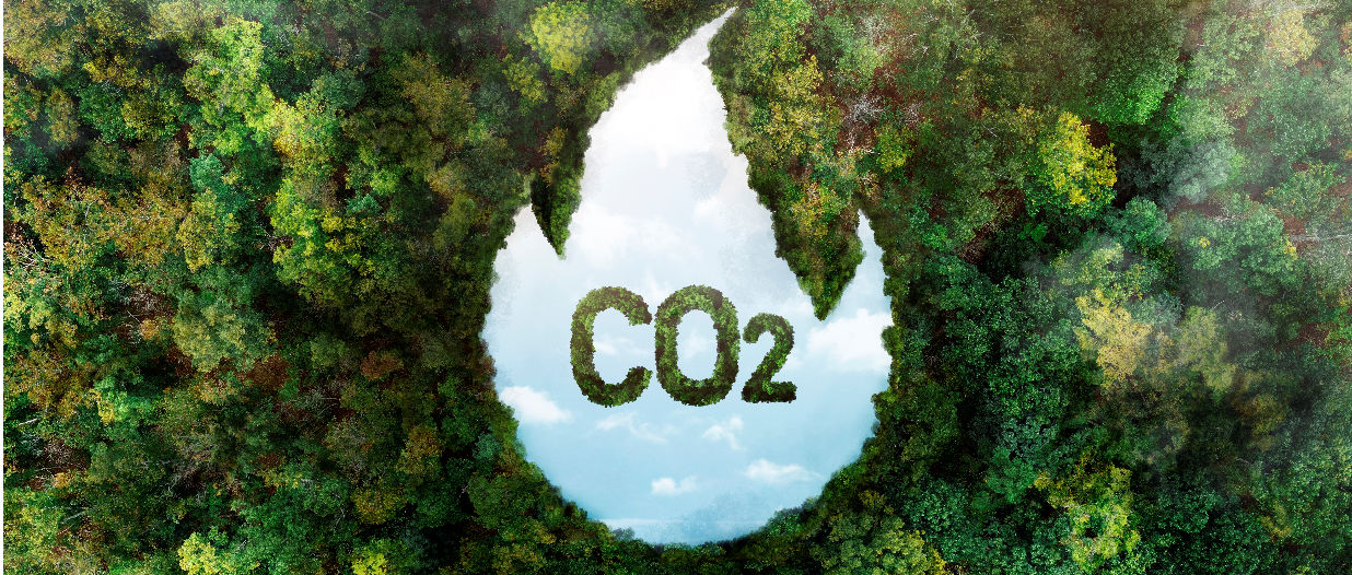 Crediti di carbonio, strumento chiave per la transizione ecologica europea