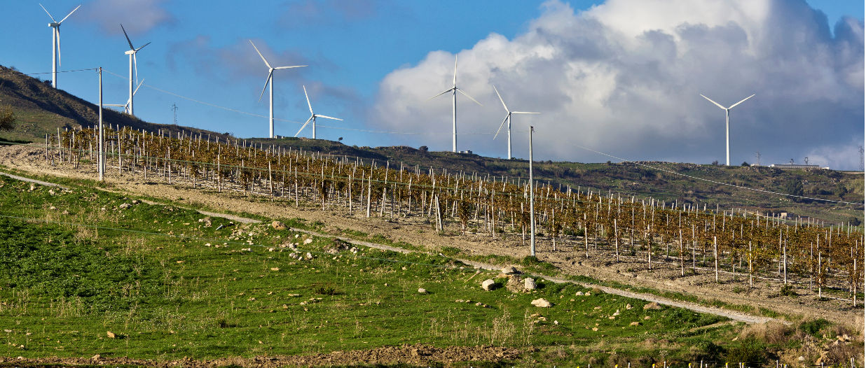 Rinnovabili in Italia: impianto eolico in vigna in Sicilia